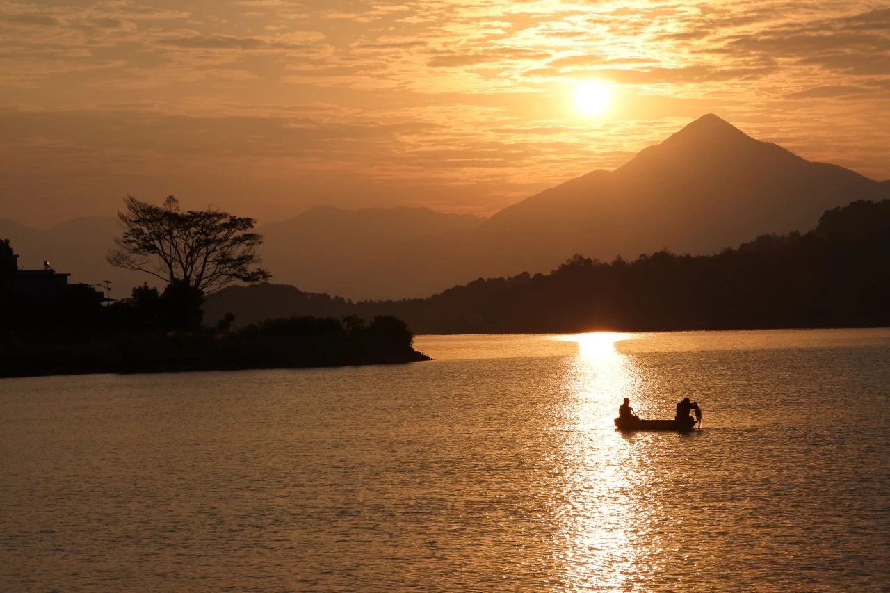 1735012655589105.jpg 1735012655589105.jpg